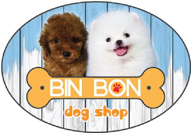 Bin Bon Dog Shop