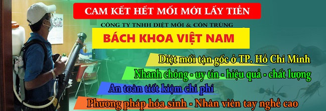 Diệt mối Bách Khoa Việt Nam