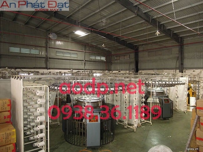 Xưởng may áo thun sỉ An Phát Đạt