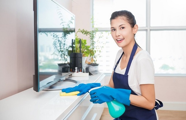 VSN House Cleaning Service