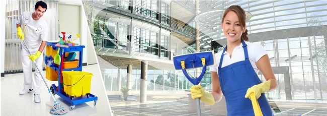 MINH LONG - Cleaning Service Company