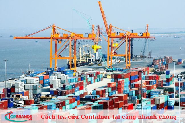 Cách tra cứu Container online tại cảng nhanh chóng, chính xác
