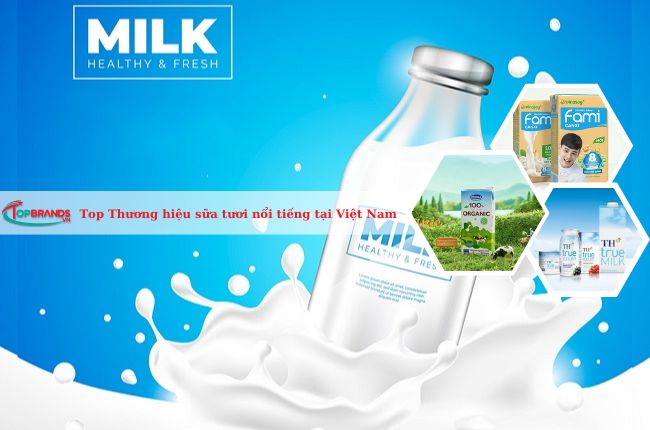 Thương hiệu sữa tươi nổi tiếng nhất tại Việt Nam