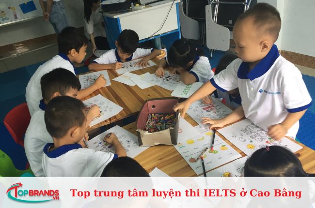 Top trung tâm luyện thi IELTS ở Cao Bằng