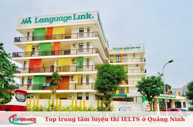 Language Link Hạ Long là trung tâm ôn thi IELTS hiệu quả tại Quảng Ninh