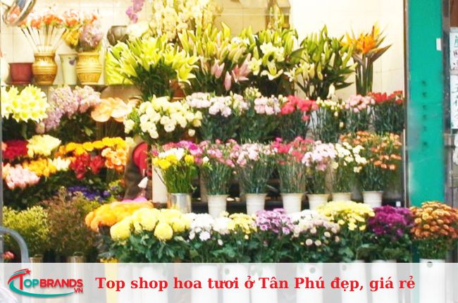 Shop hoa tươi ở Tân Phú được nhiều người yêu thích