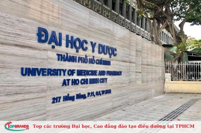 Đại học Y Dược