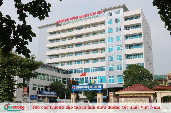 Trường Đại học Y khoa Vinh