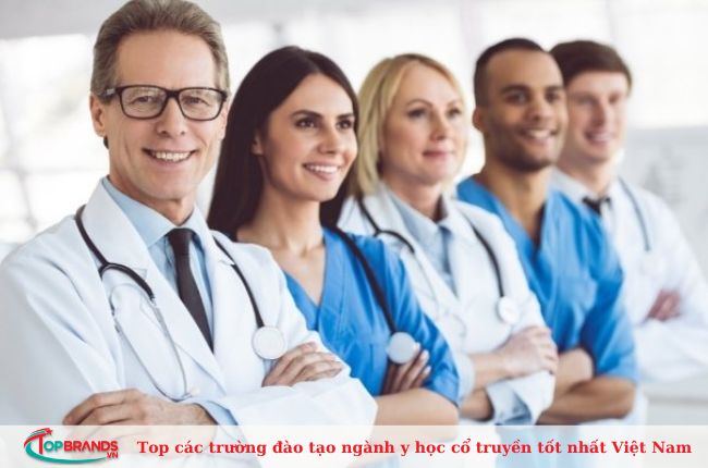 Top 9 các trường đào tạo ngành y học cổ truyền tốt nhất Việt Nam