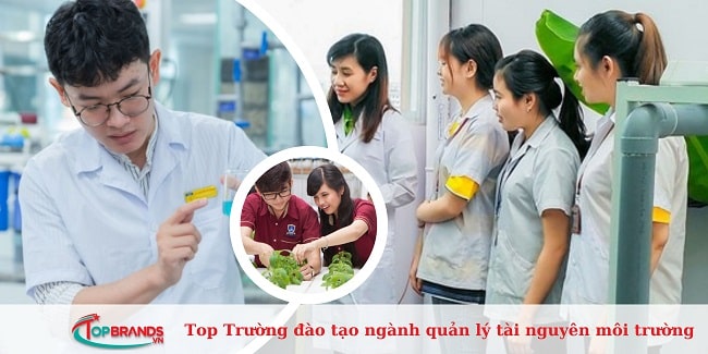 Trường đào tạo ngành quản lý tài nguyên môi trường tốt nhất