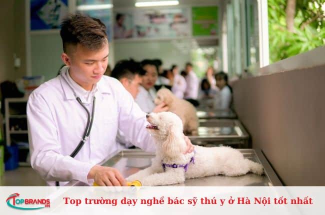 Cao đẳng Công nghệ và Môi Trường Hà Nội