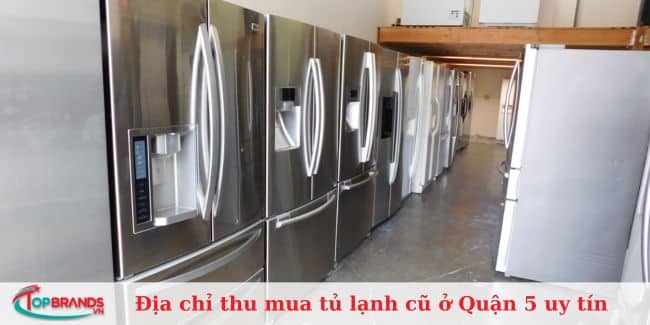 Điện lạnh Thành Phát