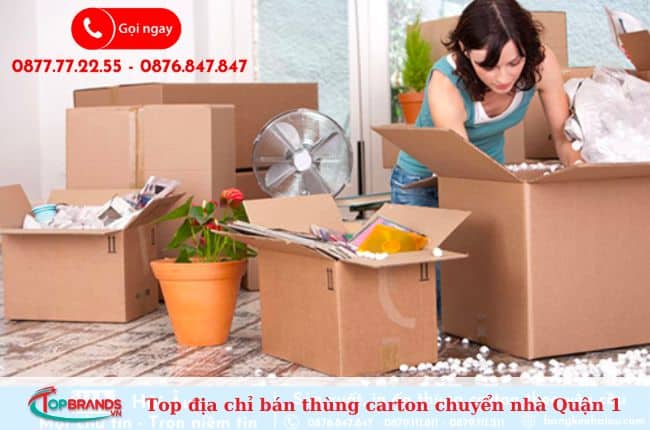 Địa chỉ bán thùng Carton chuyển nhà Hải Âu tại quận 1