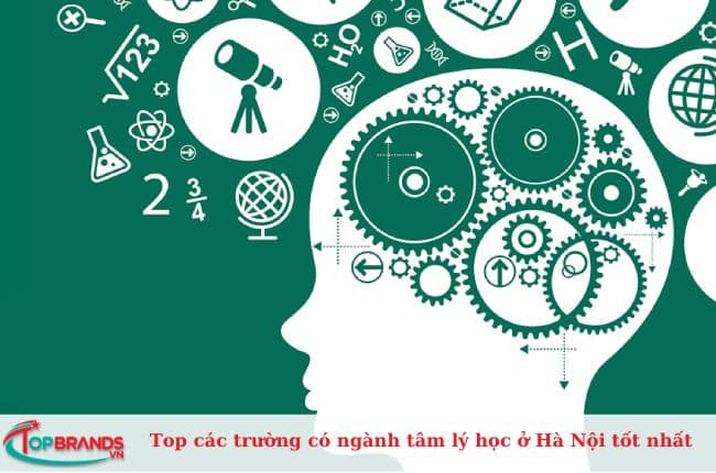 Top các trường có ngành tâm lý học ở Hà Nội tốt nhất