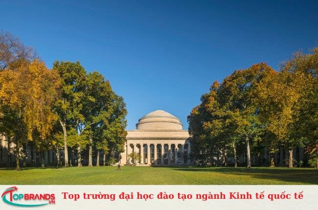 Top trường đại học đào tạo ngành Kinh tế quốc tế