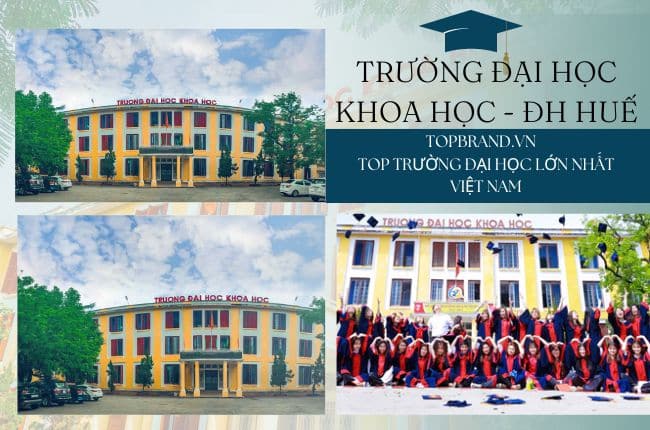 Trường Đại học Khoa học, Đại học Huế