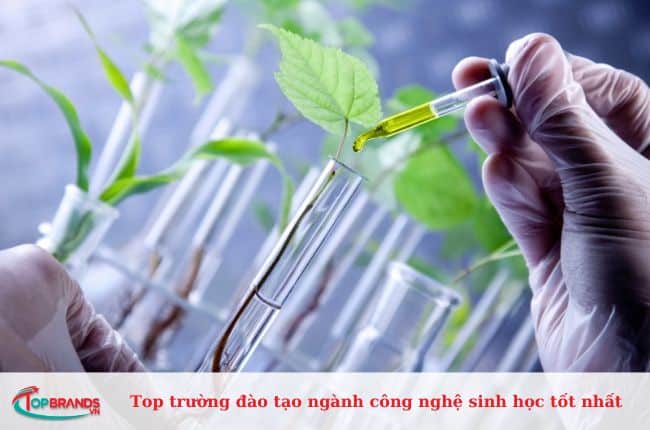 Top trường đại học đào tạo ngành Công nghệ sinh học tốt nhất