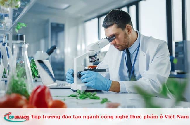 Top trường đào tạo ngành công nghệ thực phẩm tốt nhất Việt Nam