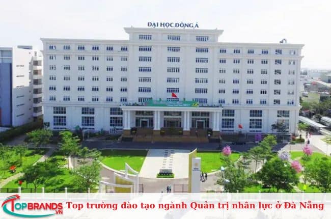 Đại học Đông Á