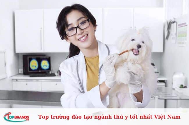 Top trường đào tạo ngành thú y tốt nhất Việt Nam