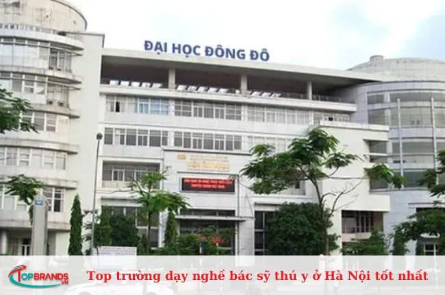 Trường Đại học Đông Đô