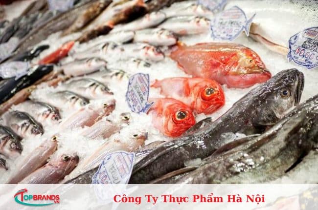 công ty cung cấp thực phẩm ở Hà Nội