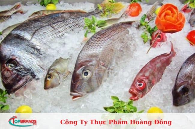 công ty cung cấp thực phẩm ở Hà Nội