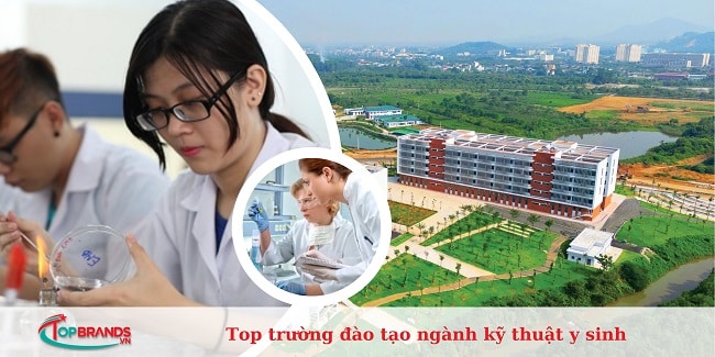 trường đào tạo ngành kỹ thuật y sinh