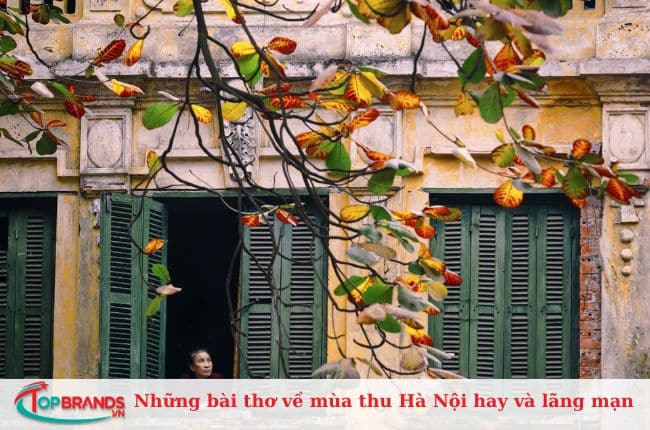 Nỗi hờn cuối Thu