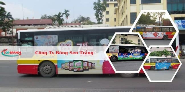 Công Ty Bông Sen Trắng