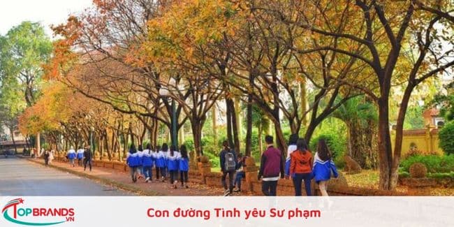 Con đường Tình yêu Sư phạm