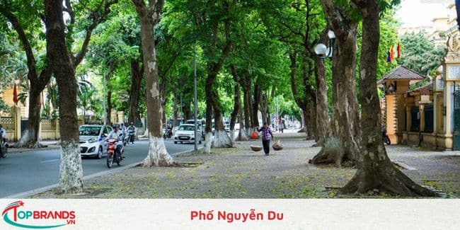 Phố Nguyễn Du