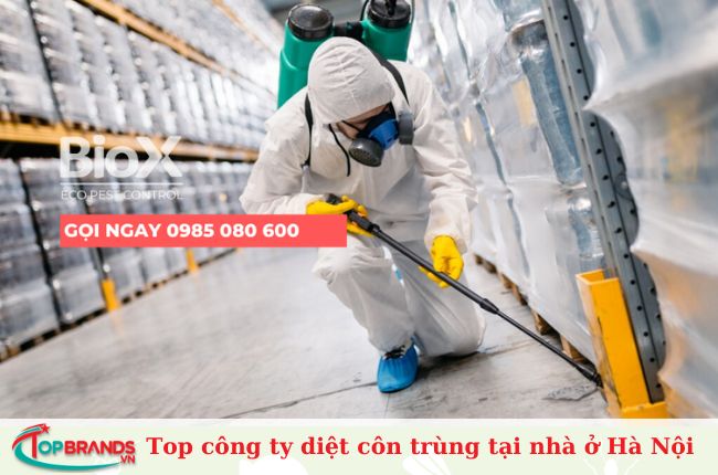 Top công ty diệt côn trùng tại Hà Nội