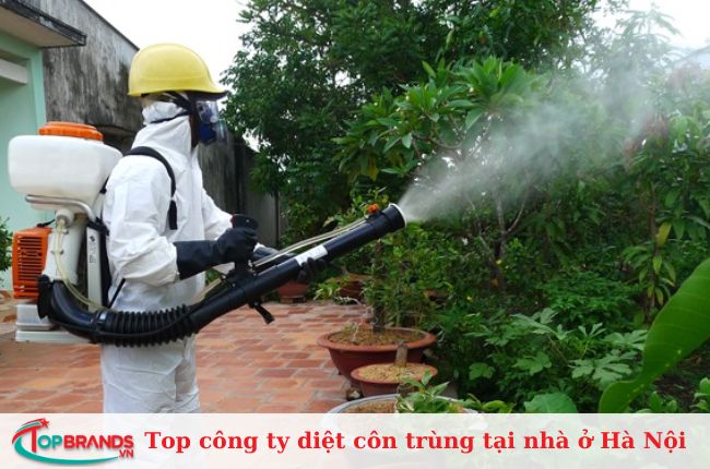 Công ty diệt côn trùng tại Hà Nội hàng đầu