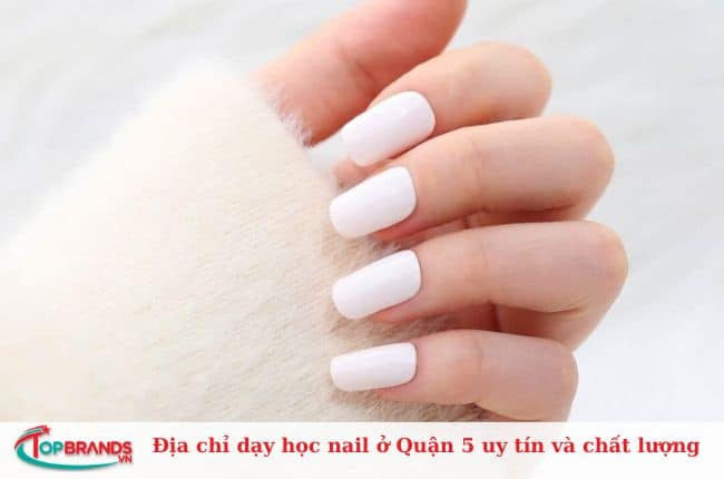 Trung tâm đào tạo Thẩm mỹ Hoa Sen