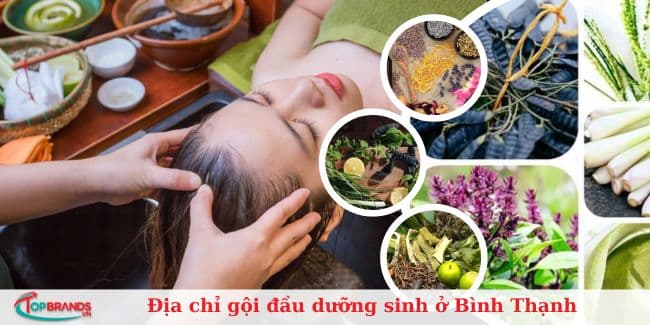 Top 10 Địa chỉ gội đầu dưỡng sinh ở Bình Thạnh uy tín, tốt nhất