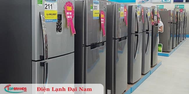 Điện Lạnh Đại Nam