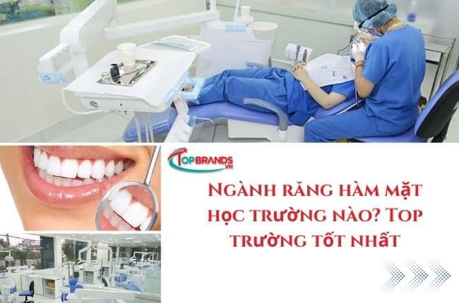 Ngành răng hàm mặt học trường nào?