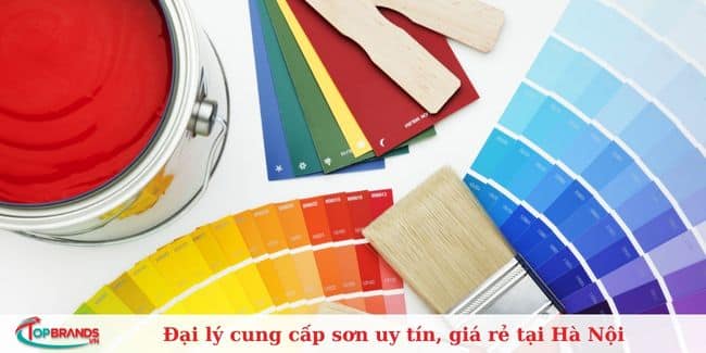 Công ty TNHH Sơn Tài Điệp