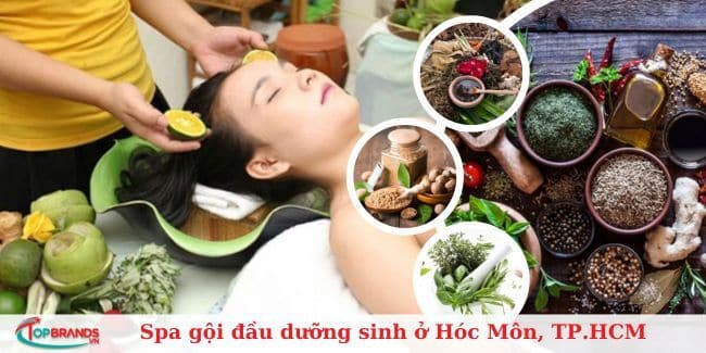 Top 10 Spa gội đầu dưỡng sinh ở Hóc Môn, TP.HCM uy tín, tốt nhất