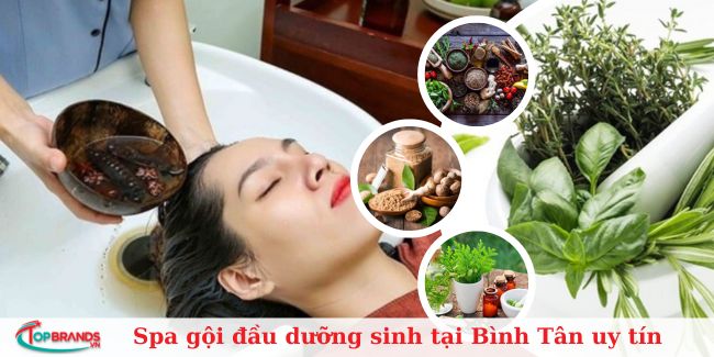 Top 10 Spa gội đầu dưỡng sinh ở Bình Tân uy tín, tốt nhất