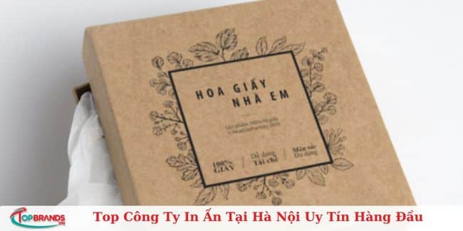 STOM Việt Nam