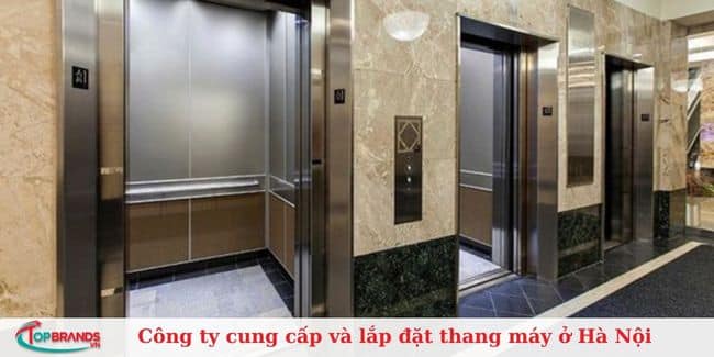  IMS Việt Nam