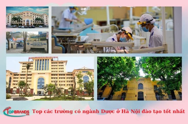 các trường có ngành Dược ở Hà Nội