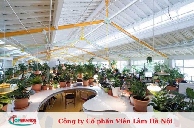 địa chỉ mua cây cảnh văn phòng Hà Nội