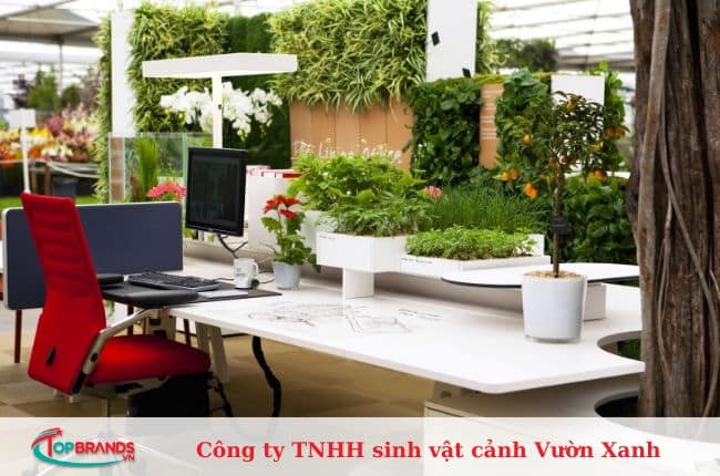 địa chỉ mua cây cảnh văn phòng Hà Nội