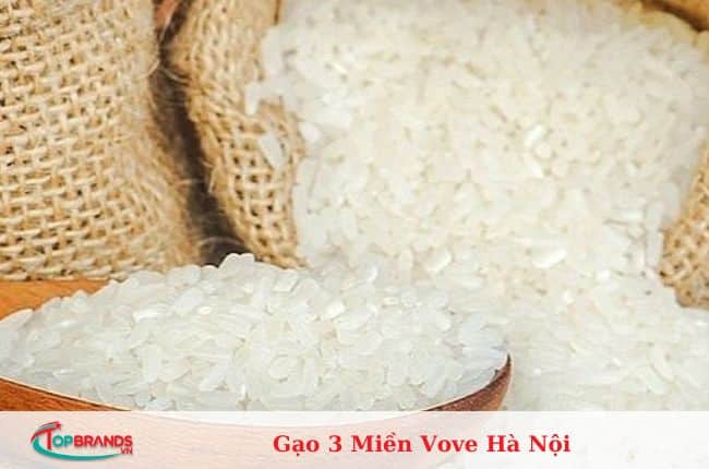 đại lý gạo tại Hà Nội