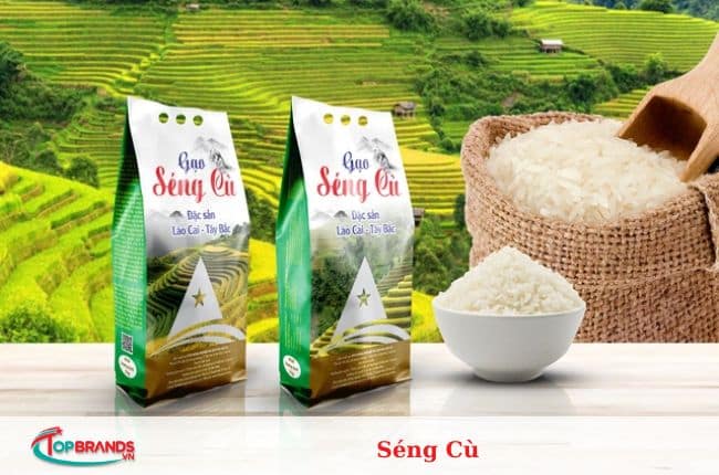 đại lý gạo tại Hà Nội