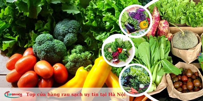 cửa hàng rau sạch uy tín tại Hà Nội