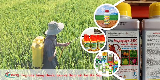 Top 12 cửa hàng thuốc bảo vệ thực vật tại Hà Nội chất lượng